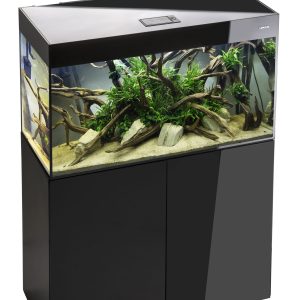 Glossy ST 80 D&N Black+Cabinet 125-litraa (Tilaustuote)