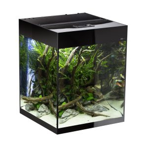 Aquael Glossy Cube D&N Black+CABINET 135-litraa (Noutona Espoosta)