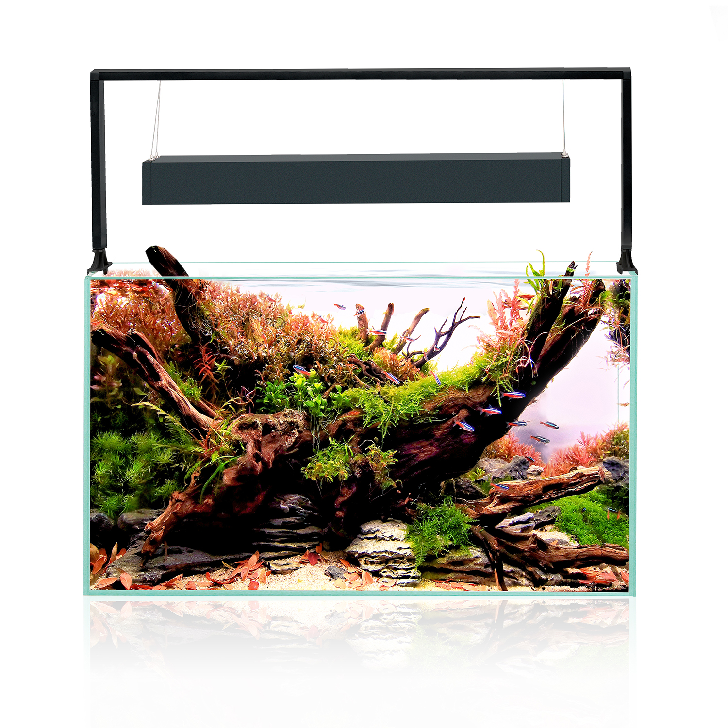 ULTRASCAPE 60 FOREST SET