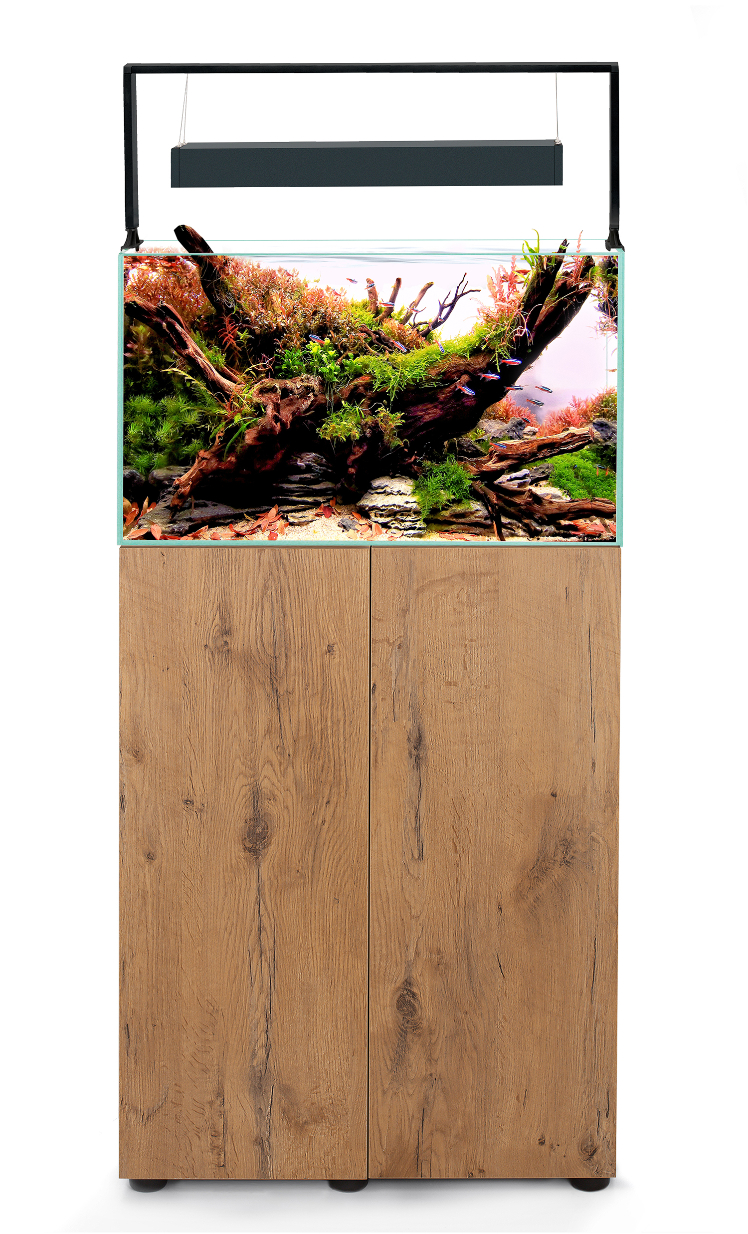 ULTRASCAPE 60 FOREST SET - Image 5