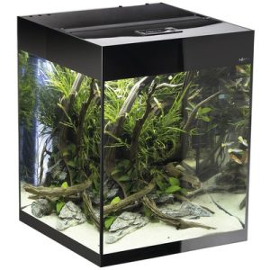 Aquael Set Glossy Cube D&N Black 135-litraa (Nouto Espoosta)
