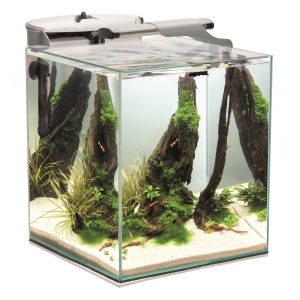 Aquael Fish&Shrimp Set Duo White 35 D&N (49-litraa)