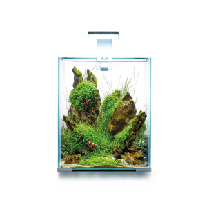 Aquael Shrimp Set 30 Day&Night VALKOINEN