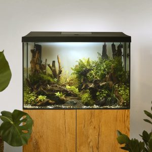 Aquael Leddy XL Day&Night 60 (72-litraa)