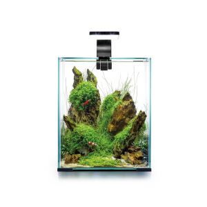 Aquael Shrimp Set 30 Day&Night MUSTA