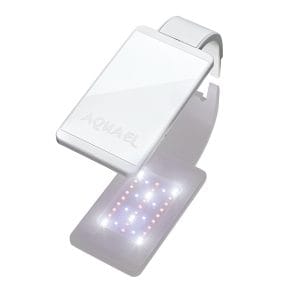 LEDDY SMART 4,8W PLANT & NIGHT WHITE