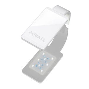 LEDDY SMART 4,8W SUNNY D&N WHITE